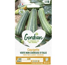 Courgette non coureuse italienne Gondian – graines