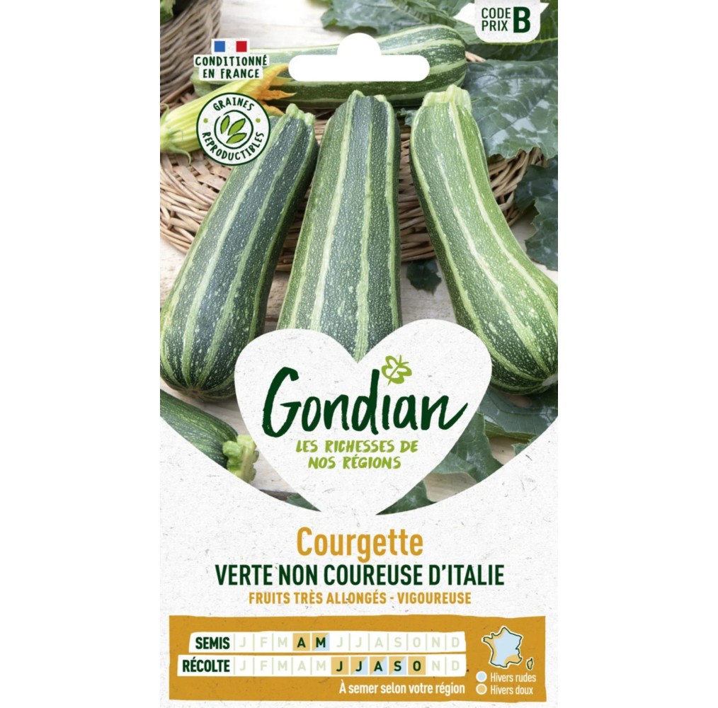 Courgette Non Coureuse Italienne – Graines Gondian