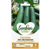 Concombre Maraîcher Vert Long – Graines Gondian