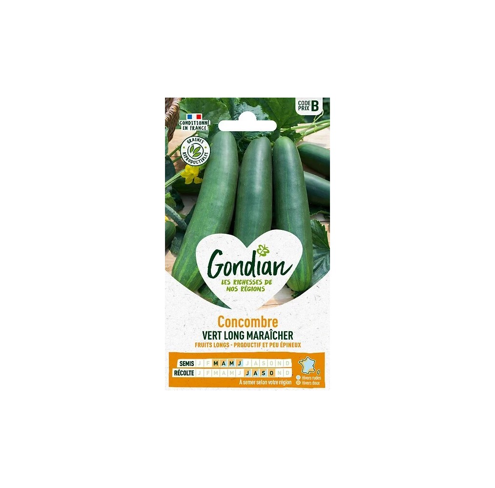 Concombre Maraîcher Vert Long – Graines Gondian