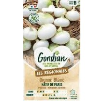 Oignon Blanc Hâtif de Paris – Graines Gondian