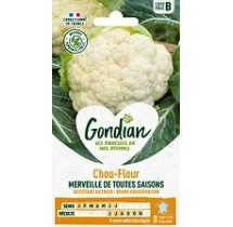 Chou-fleur Merveille des 4 Saisons – Graines Gondian