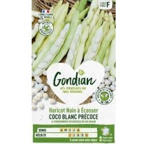 Haricot Coco Blanc Précoce Nain – Graines Gondian