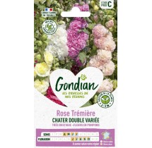 Rose Trémière Double Variée – Graines Gondian