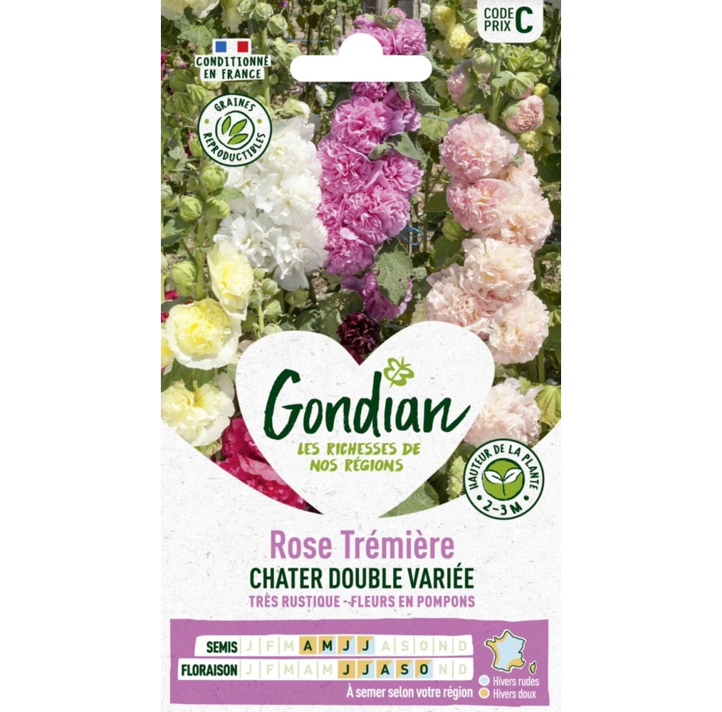 Rose Trémière Double Variée – Graines Gondian