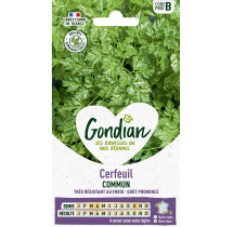 Cerfeuil Commun – Graines Gondian