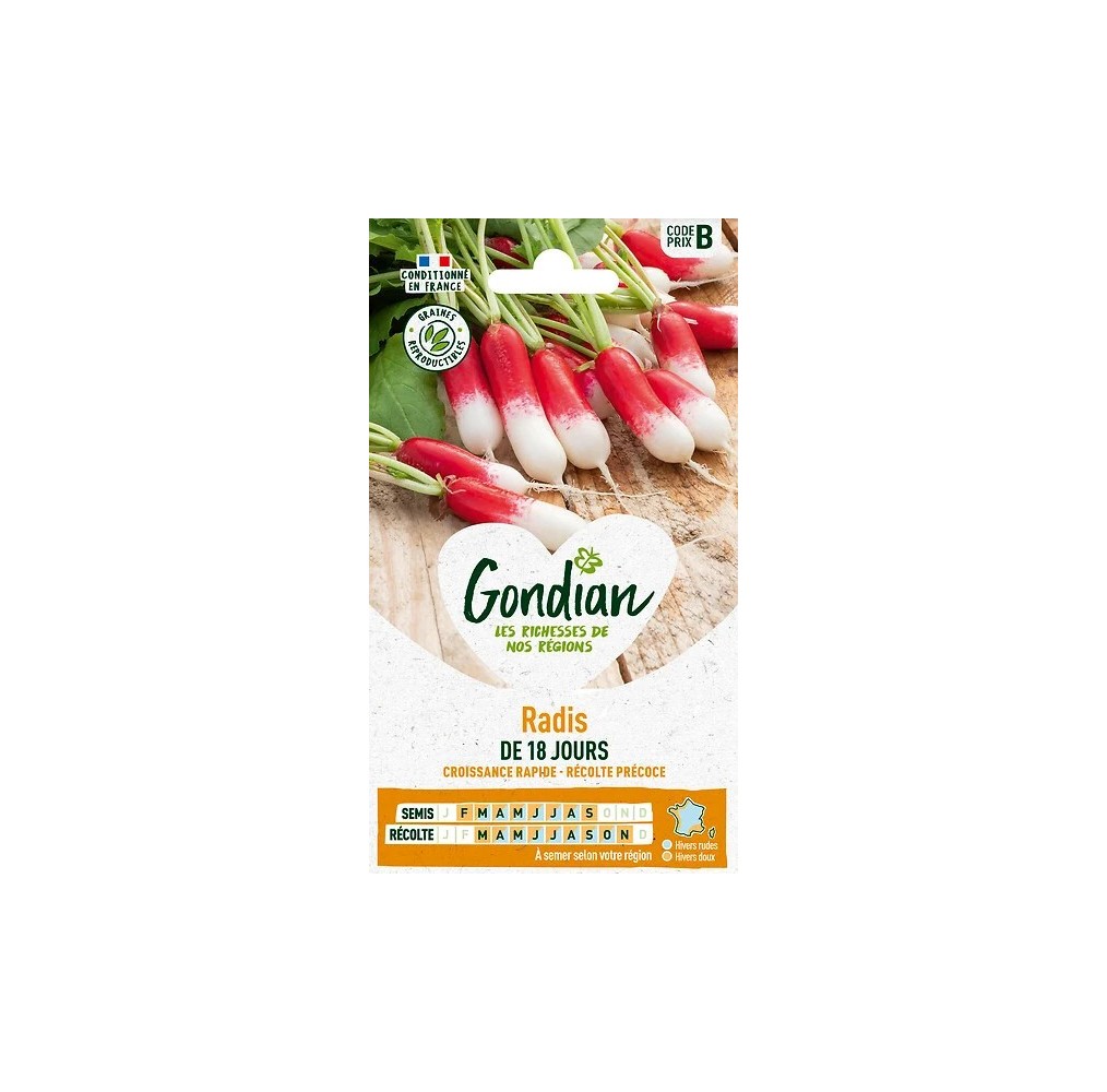 Radis Flamboyant 5 Demi-Long – Graines Gondian