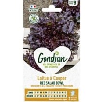 Laitue Red Salad Bowl à Couper – Graines Gondian