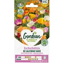 Eschscholtzia de Californie Variée – Graines Gondian