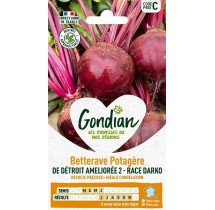Betterave Detroit Darko – Graines Gondian