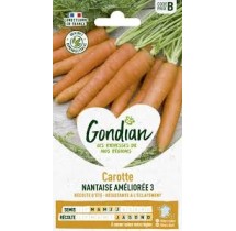 Carotte Nantaise Améliorée 3 – Graines Gondian