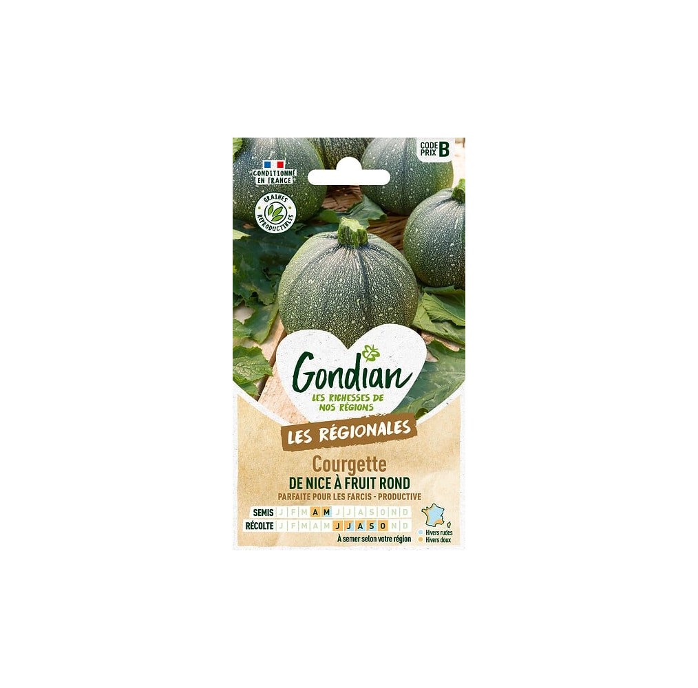 Courgette de Nice à Fruit Rond – Graines Gondian