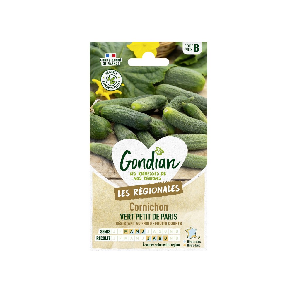 Cornichon Petit de Paris – Graines Gondian
