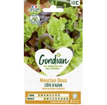 Mesclun Doux Côte d’Azur – Graines Gondian