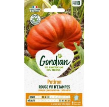 Potiron Rouge Vif d’Étampes – Graines Gondian