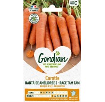 Carotte Nantaise Tam Tam – Graines Gondian