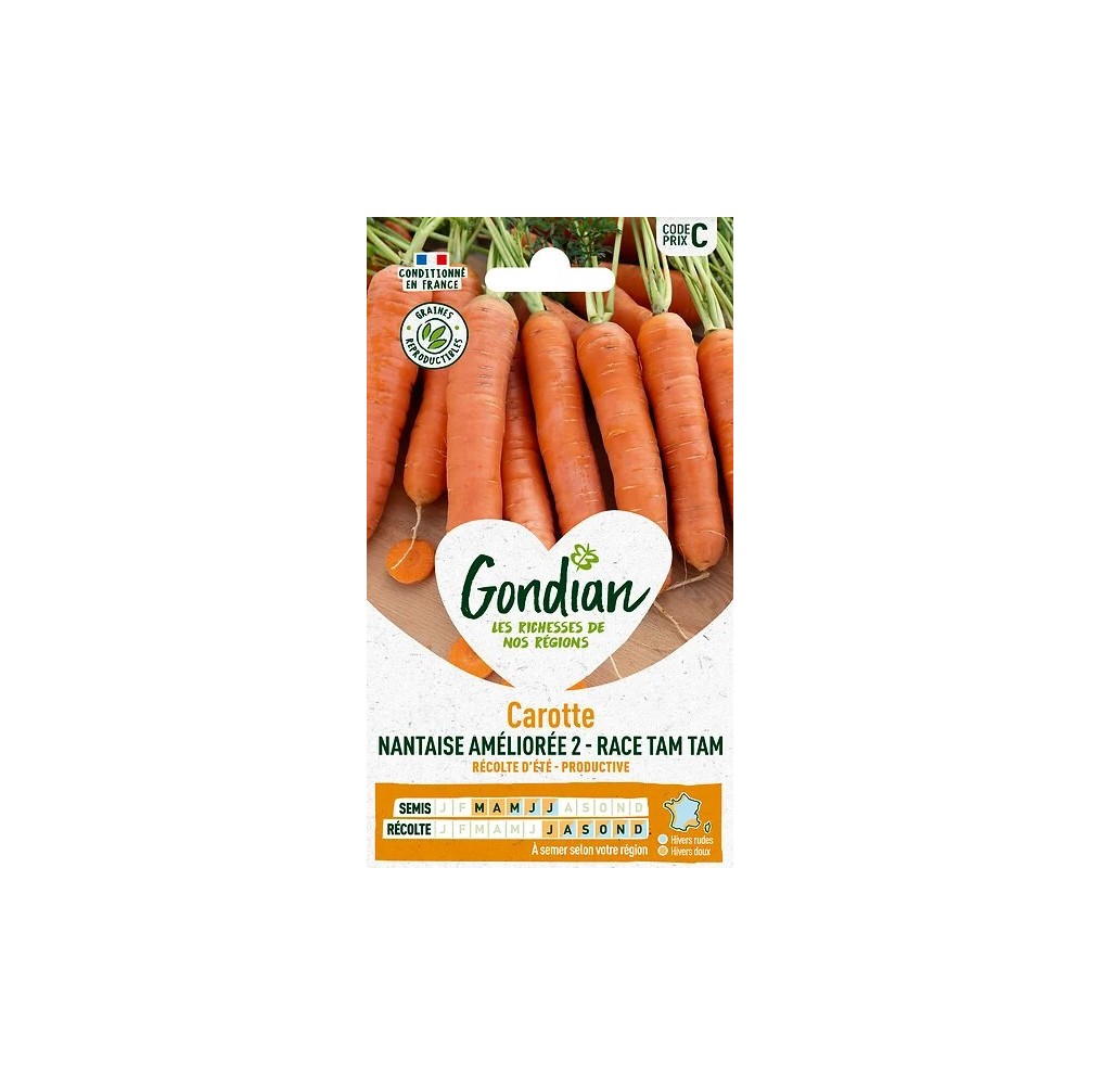 Carotte Nantaise Tam Tam – Graines Gondian