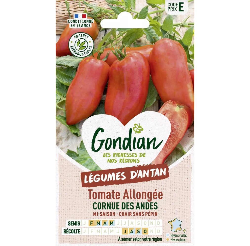 Tomate Cornue des Andes – Graines Gondian