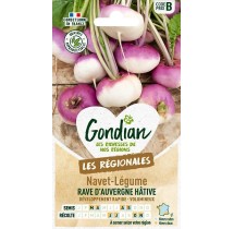 Navet d’Auvergne Hâtif – Graines Gondian