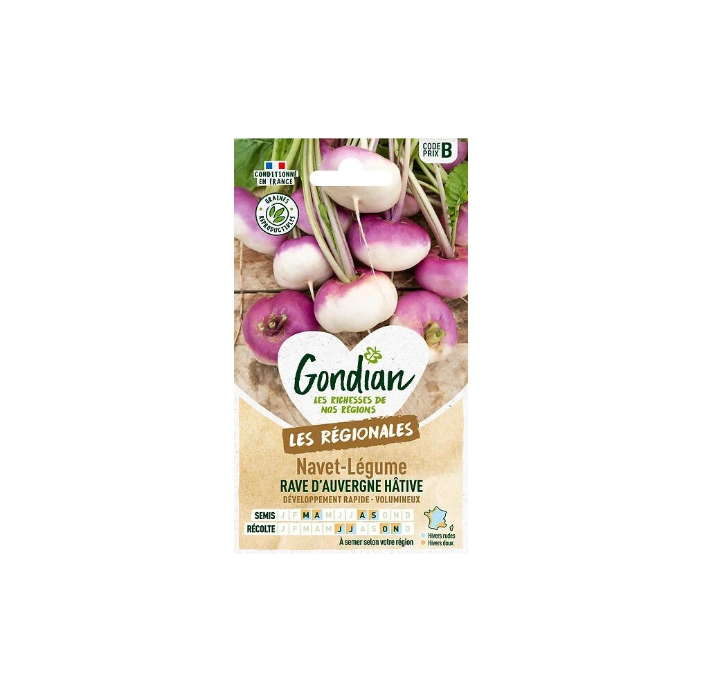 Navet d’Auvergne Hâtif – Graines Gondian