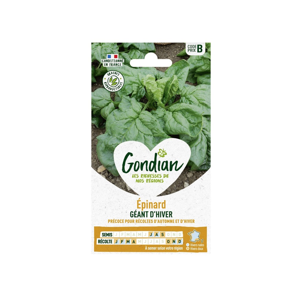 Épinard Géant d’Hiver – Graines Gondian