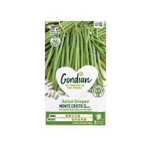Haricot Monte Cristo Grimpant Mange-Tout – Graines Gondian