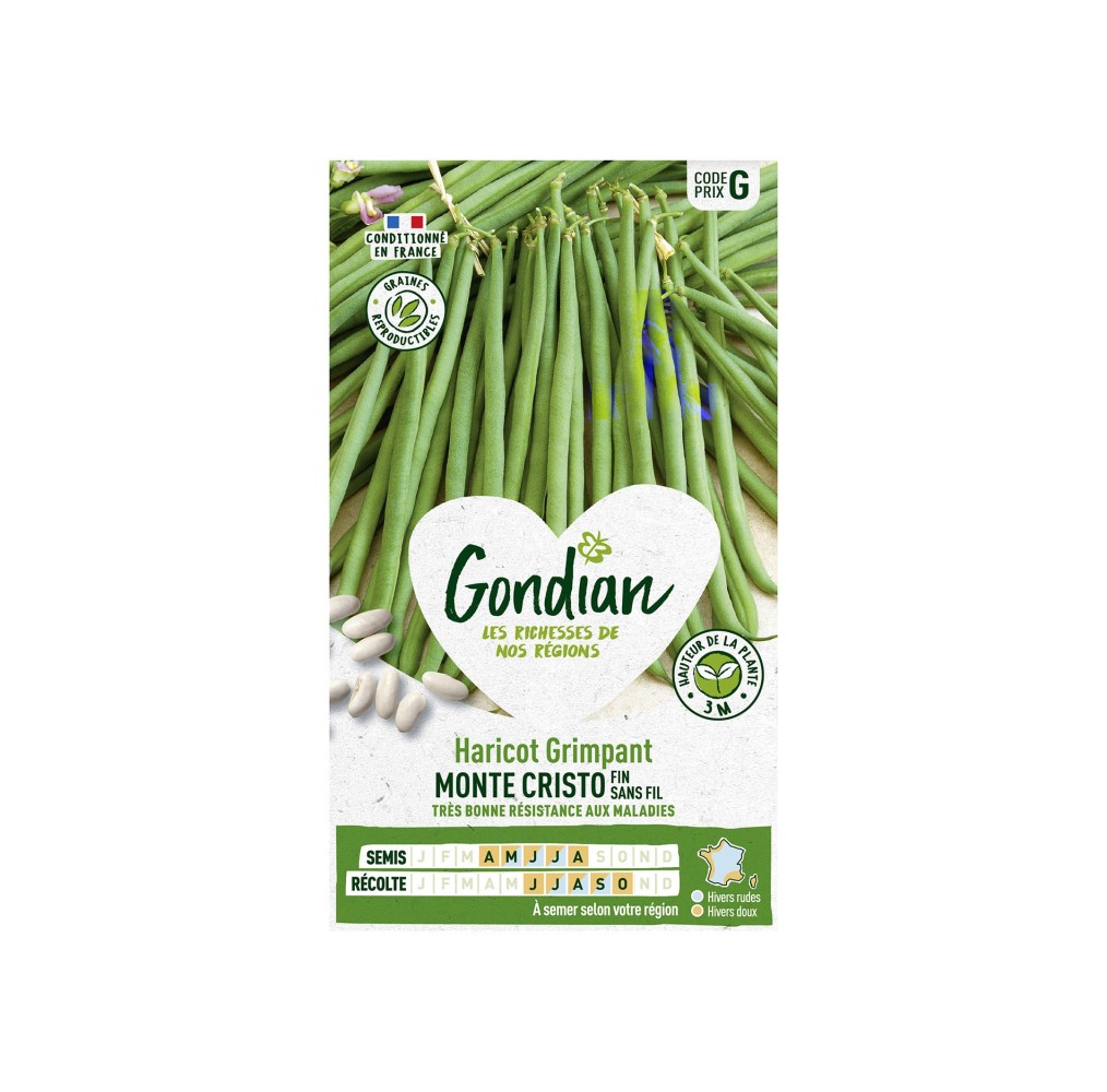 Haricot Monte Cristo Grimpant Mange-Tout – Graines Gondian
