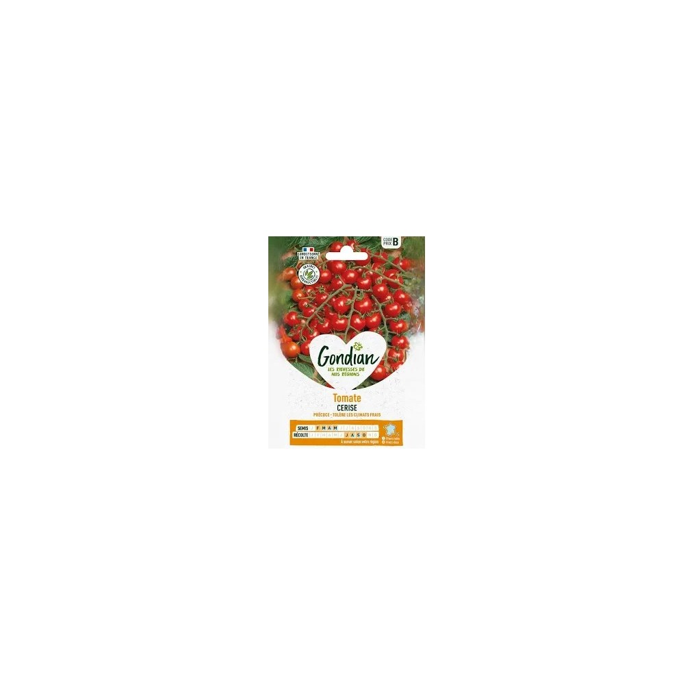 Tomate Cerise – Graines Gondian