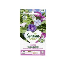 Ipomée Volubilis Variée – Graines Gondian