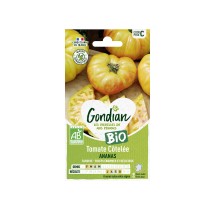 Tomate Ananas BIO – Graines Gondian