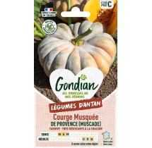 Courge Musquée de Provence – Graines Gondian