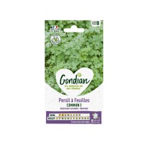 Persil Commun à Feuilles – Graines Gondian