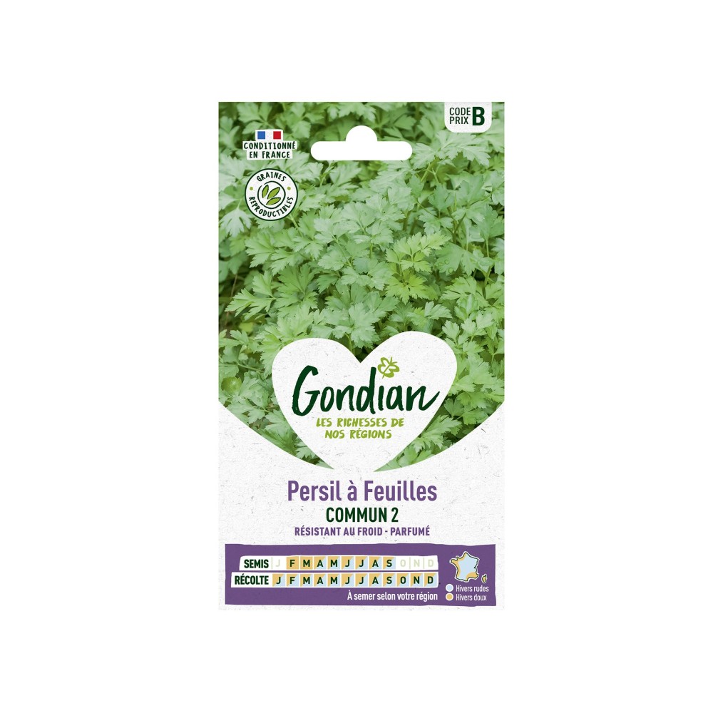Persil Commun à Feuilles – Graines Gondian