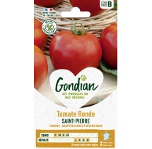 Tomate Saint Pierre – Graines Gondian