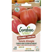 Tomate Cuor di Bue – Graines Gondian