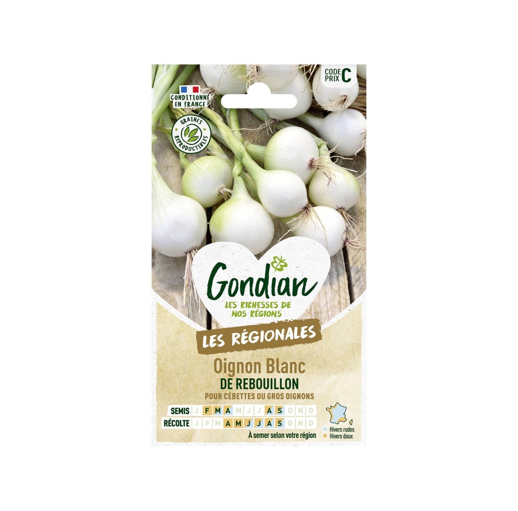 Oignon Blanc Rebouillon – Graines Gondian