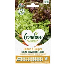 Graines Laitue Bowl Mélange à Couper – Gondian