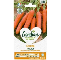 Carotte Touchon – Graines Gondian
