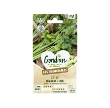 Céleri Branche Elne – Graines Gondian