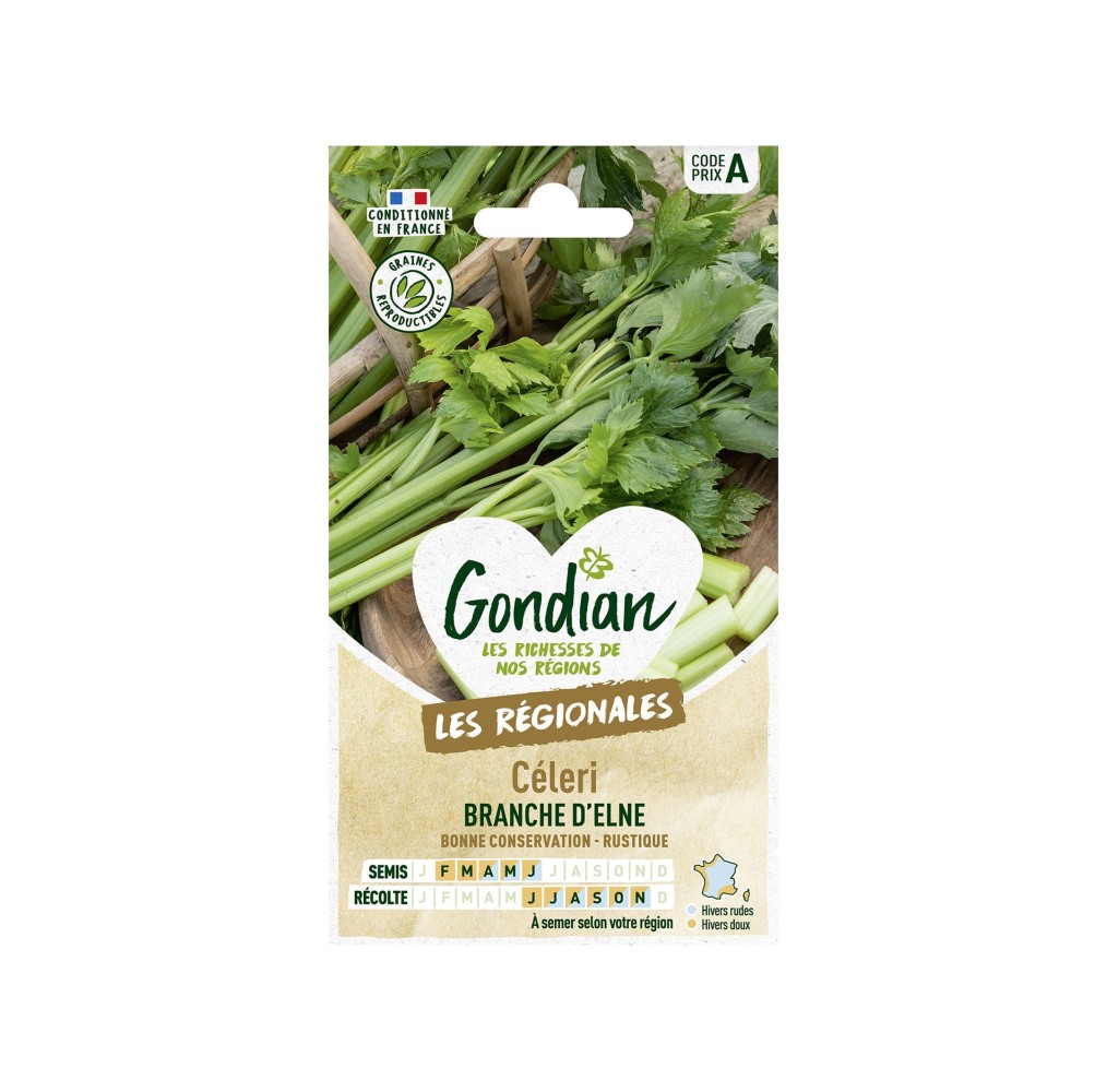 Céleri Branche Elne – Graines Gondian