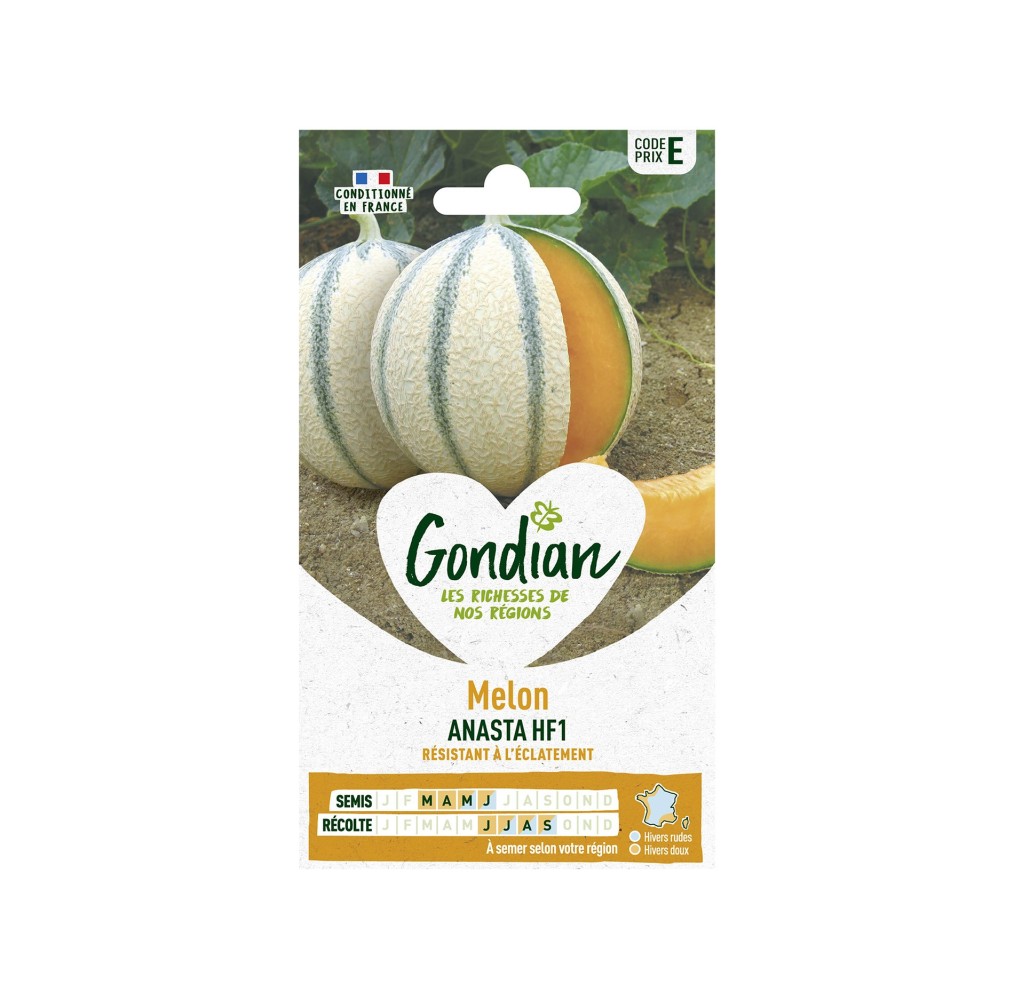 Melon Anasta HF1 – Graines Gondian