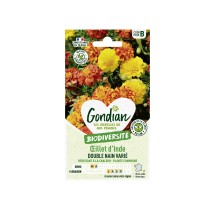 Œillet d’Inde Double Nain Varié – Graines Gondian