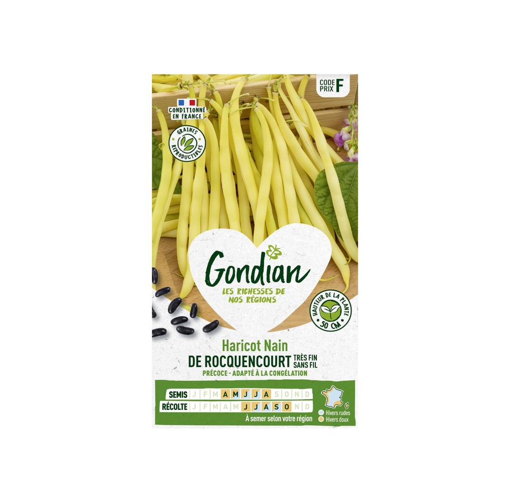 Haricot Rocquencourt Nain Mange-Tout – Graines Gondian