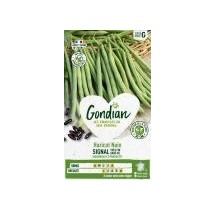 Haricot Signal Nain Filet Sans Fil – Graines Gondian