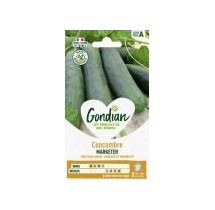 Concombre Marketer – Graines Gondian
