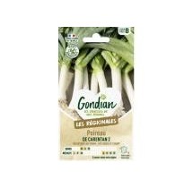 Poireau de Carentan 2 – Graines Gondian