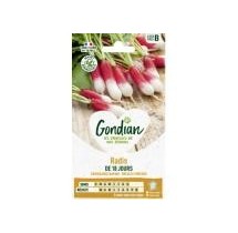 Radis de 18 Jours Demi-Long – Graines Gondian