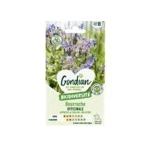 Bourrache Officinale – Graines Gondian