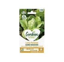 Laitue Romaine Blonde Maraîchère – Graines Gondian