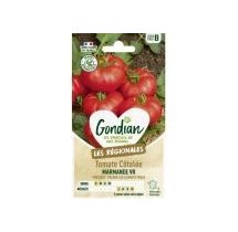 Tomate Marmande VR – Graines Gondian